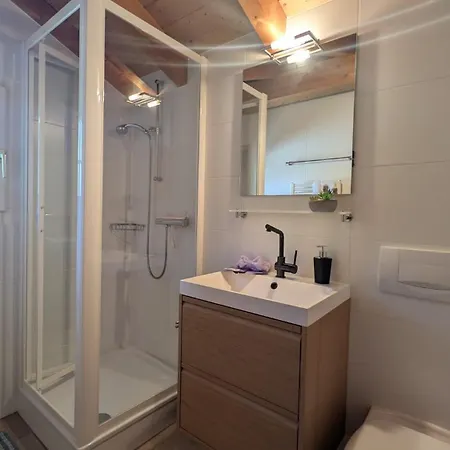 Chalé Veronique Private Sauna & Free Saastalcard Saas Fee